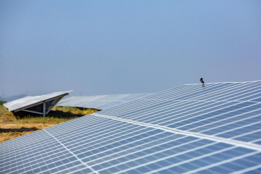 Катар запустил крупнейшую в стране солнечную электростанцию