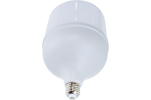  Лампа светодиодная LED-HP-PRO 60Вт 230В E27 с адаптером Е40 6500К 5700Лм IN HOME
