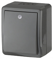  11-1402-03 ЭРА Выключатель с подсветкой IP54, 10АХ-250В, ОУ, Эра Эксперт, серый (16/160/2560)