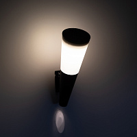  Светильник уличный ЭРА ERAFS012-09 на солнечной батарее настенный Факел RGB 1 LED