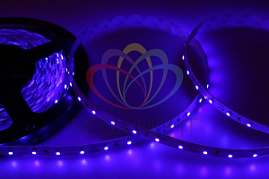  Лента светодиодная 12В, SMD2835, 4,8Вт/м, 60 LED/м, синий, 8мм, 5м, IP20 LAMPER