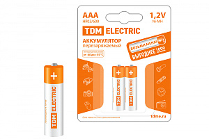  Аккумулятор AAA-600 mAh Ni-MH BP-2 TDM