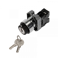  Переключатель BD21 2P с замком NO