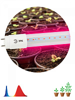 Фитолампа для растений светодиодная ЭРА FITO-18W-RB-Т8-G13-NL и мясных прилавков 18 Вт Т8 G13 красно-синего спектра