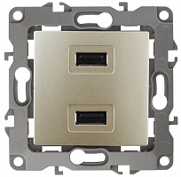  12-4110-04 ЭРА Устройство зарядное USB, 230В/5В-2100мА, IP20, Эра12, шампань (6/60/1920)