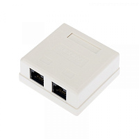  Розетка компьютерная внешняя, 2-порта RJ-45 (8P8C), UTP CAT 6 REXANT