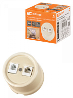  Розетка телефонная RJ11 + компьютерная RJ45 сл. кость «Болонь» TDM