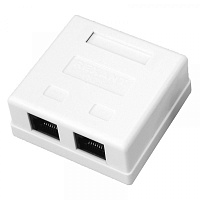  Розетка компьютерная внешняя 2-порта, UTP RJ-45 (8P8C), CAT 5e REXANT