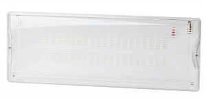 Аварийный светильник светодиодный ЭРА DPA-301-0-65 непостоянный 40LED 3ч IP65