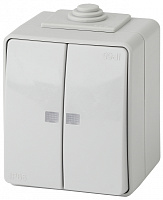  11-1605-03 ЭРА Выключатель двойной с подсветкой IP65, 10АХ-250В, ОУ, Эра Эксперт, серый (10/100/1600