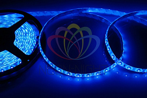  Лента светодиодная 12В, SMD2835, 4,8Вт/м, 60 LED/м, синий, 8мм, 5м, IP65 LAMPER