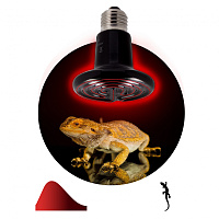  Инфракрасная лампа ЭРА ЭРА FITO-100W-НQ керамическая серии CeramiHeat модель RX для брудера, рептилий 100 Вт Е27