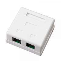  Розетка комбинированная внешняя, UTP RJ-45(8P8C) + RJ-11(6P-4C) REXANT 